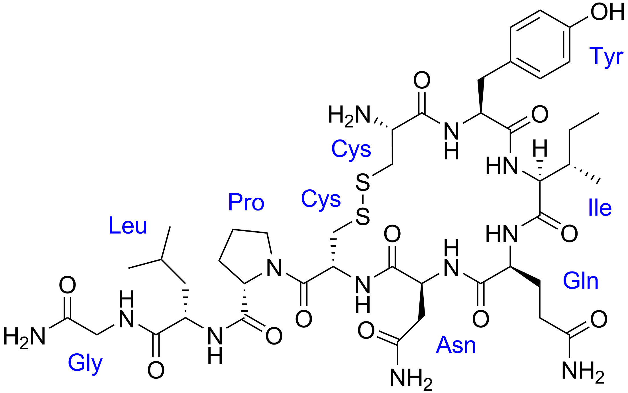 Oxytocin_with_labels