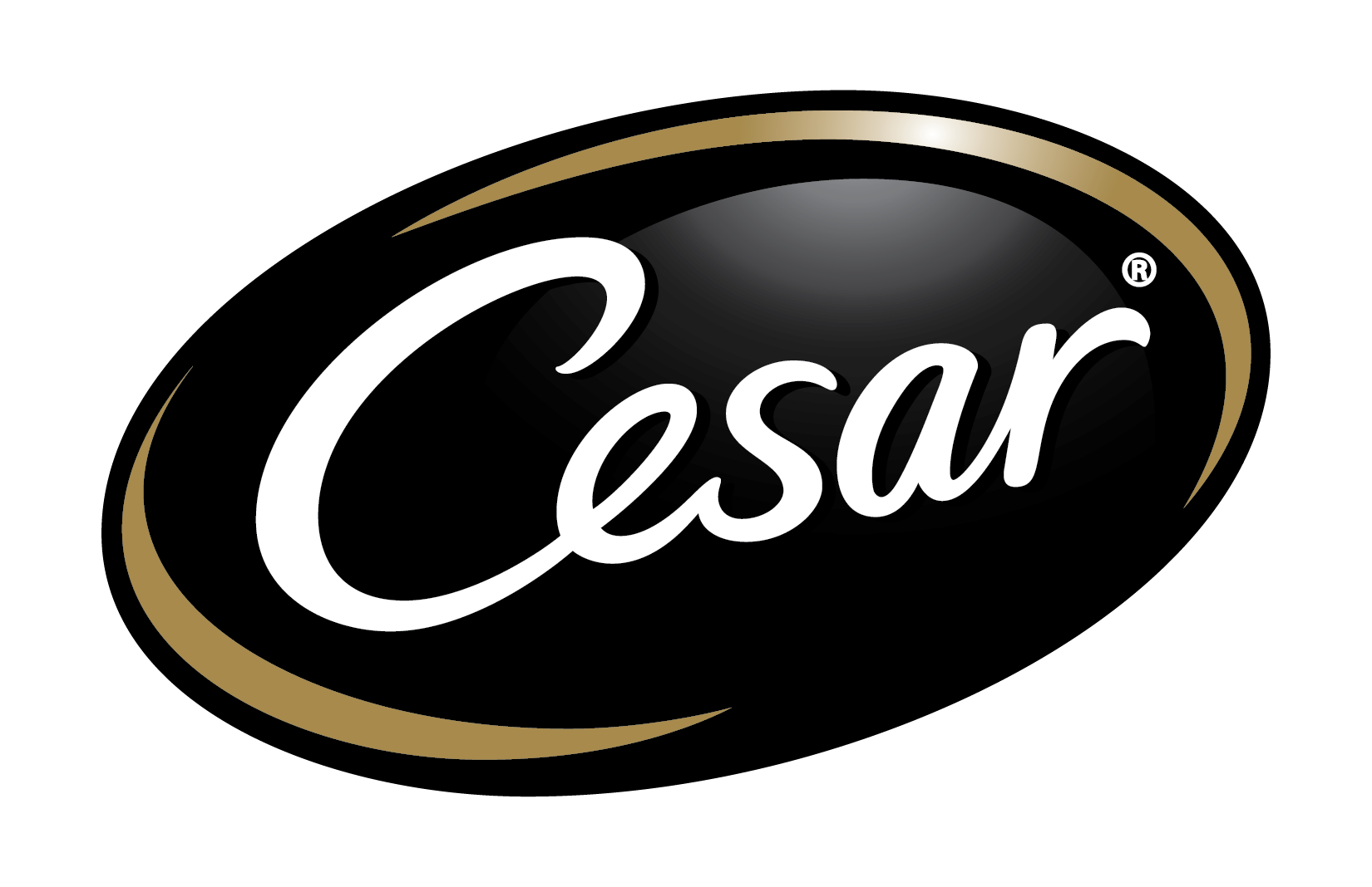 cesar logo