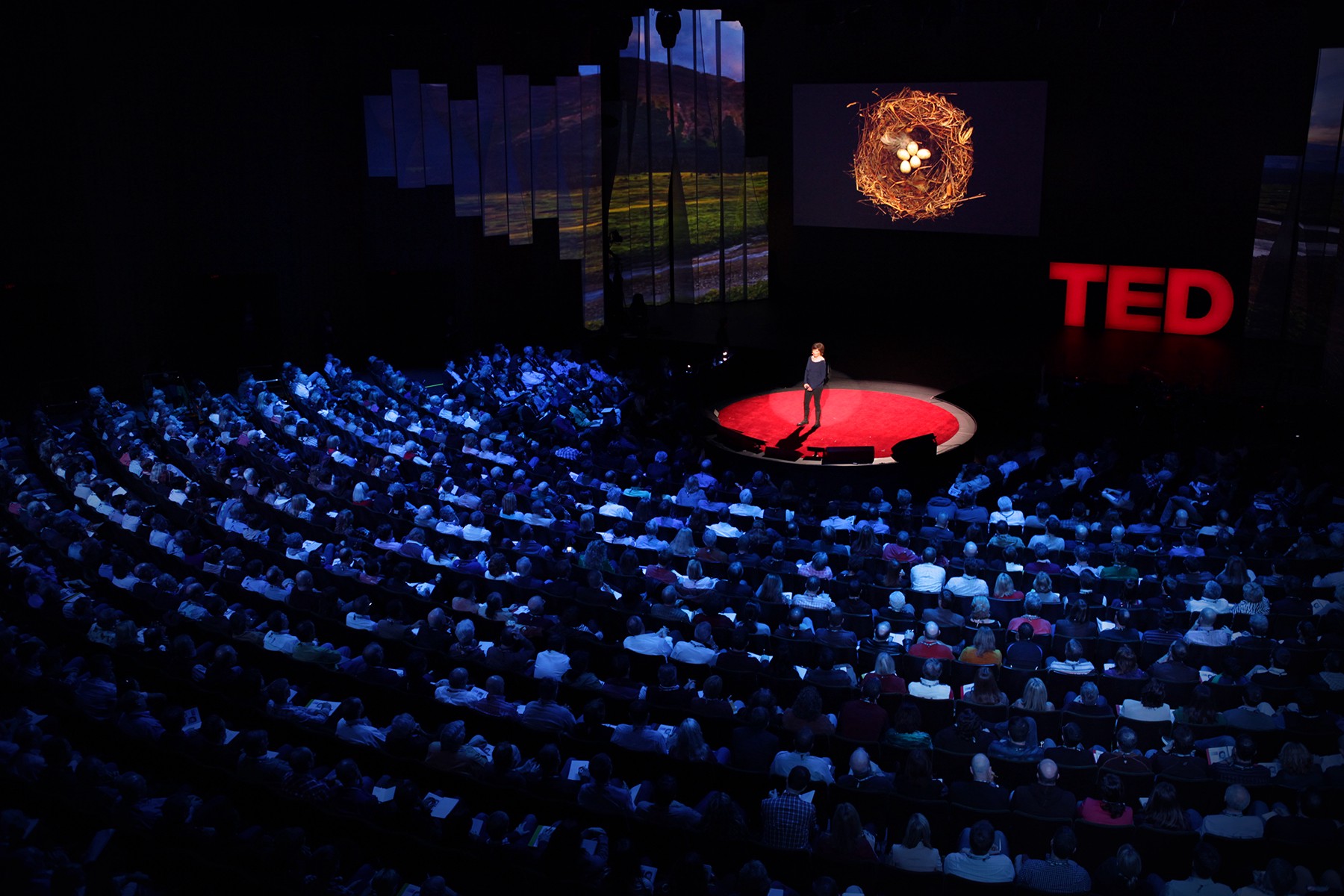 ted-stage